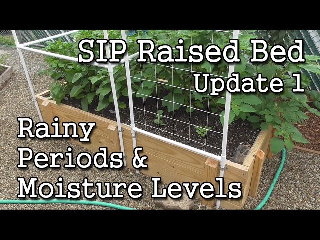 SIP Raised Bed (Update 1) + Self-Watering Containers + How-To Monitor Moisture Levels