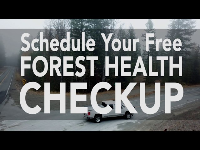 Vaagen Brothers Lumber - Free Forest Health Checkup For The Private Landowner