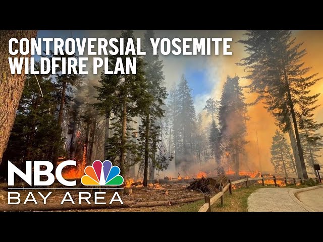 Yosemite's Forest Wildfire Plan Hits Controversial, Potentially Dangerous Snag