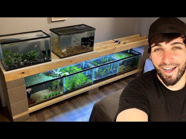 I Built a FISH TANK RACK in my ROOM!