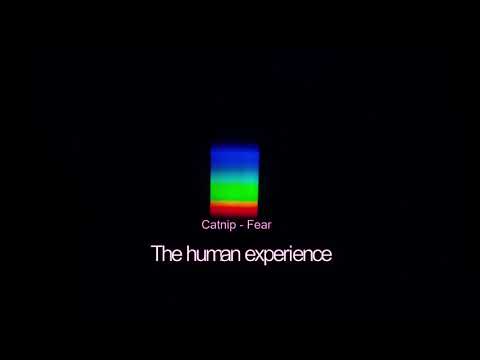 [EP] The Human Experience