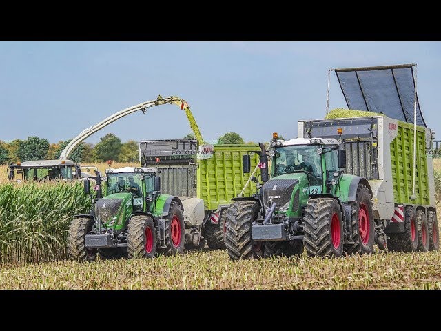 Biggest forage harvester from CLAAS | chopping maize | Fendt tractors | biogas plant