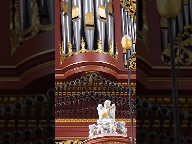 King's Fanfare on the Organ! 🎺😍 Part 8 #music #organ #church