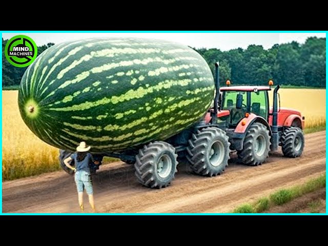 The Most Modern Agriculture Machines That Are At Another Level, How To Harvest Watermelon In Farm ▶4
