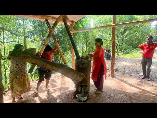 A Day in the Village: Traditional Oil Making in Rural Nepal | Village Nepal Life |  Nepal
