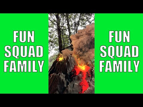 Fun Squad Family Shorts