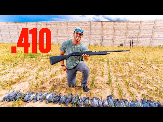 PIGEON HUNTING WITH SEMI AUTO .410!!