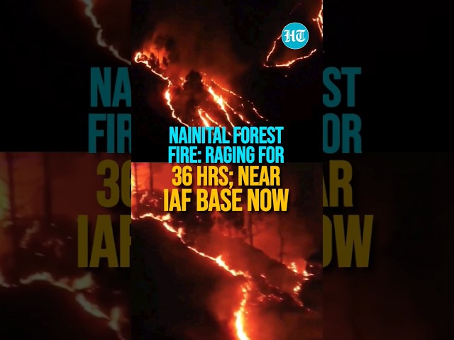 Nainital Forest Fire: Raging For 36 Hrs; Near IAF Base Now; Army Called In
