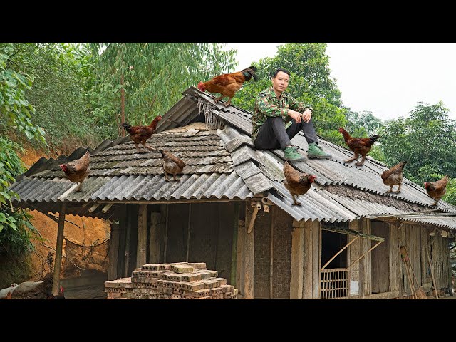 Full Video 5 Days: Builds bamboo house, Repair the roof, buy chicken breeds, Challenges living alone