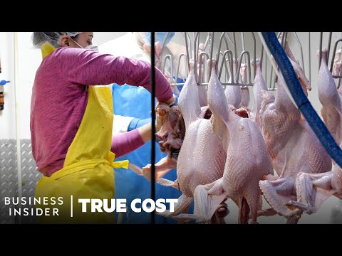 Thanksgiving Turkey Slaughter At Gunthorp Farms | True Cost