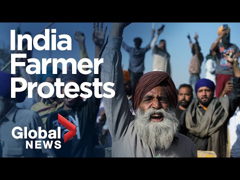 The uprising of India’s farmers: What’s behind the protests?
