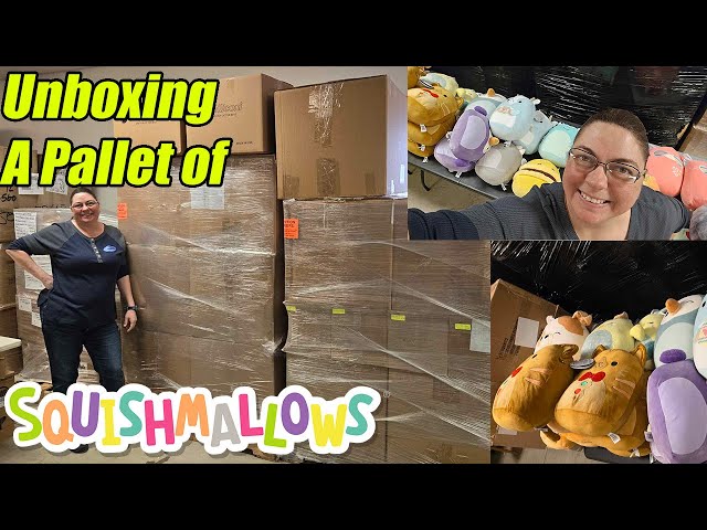 Unboxing an entire Pallet of Squishmallows We talk about their stories. Check them all out!