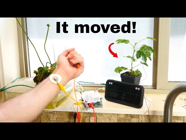 Controlling Plants With My Brain