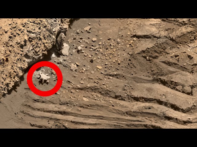 Curiosity rover sculpted a bug from a rocky canvas