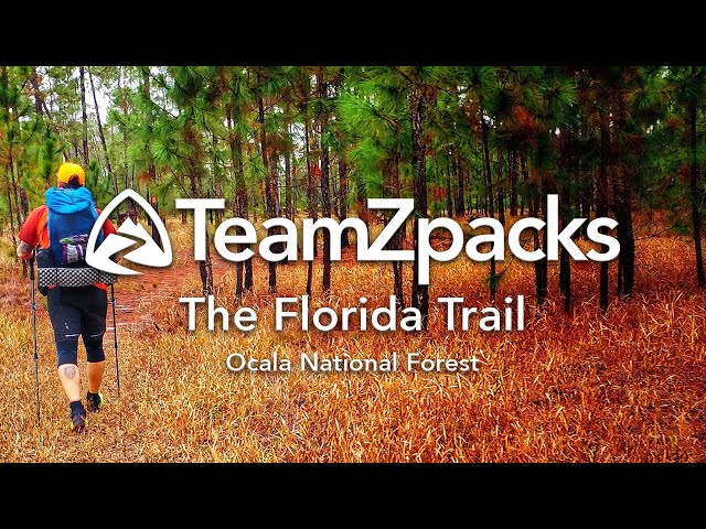 The Florida Trail - Ocala National Forest Section Hike w/ Zpacks