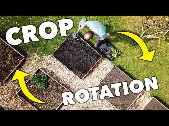 The Step By Step Guide to Crop Rotation