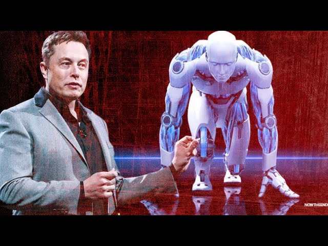 Find What Elon Musk Said About Real World AI