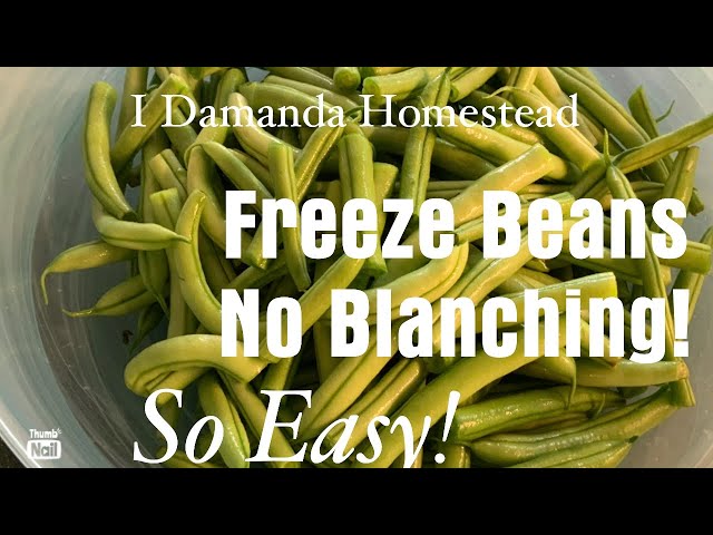 Freeze Beans Without Blanching! It’s So Easy!