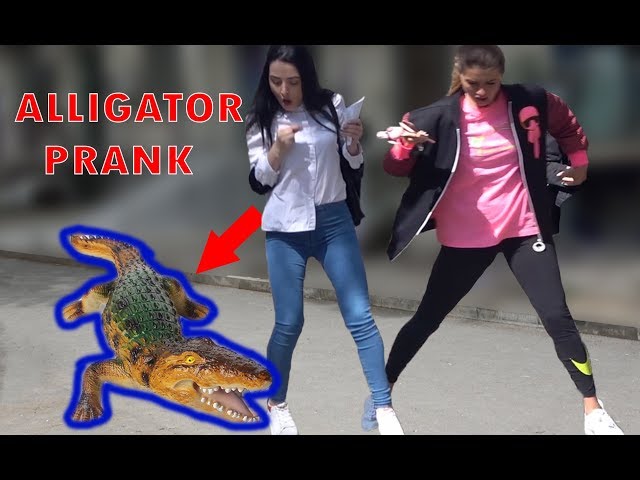 Remote Controlled ALLIGATOR PRANK 2019 - AWESOME REACTIONS - Best of Just For Laughs