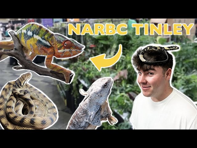 The *CRAZIEST* Reptile Show In The Country! (NARBC Tinley Park 2021)