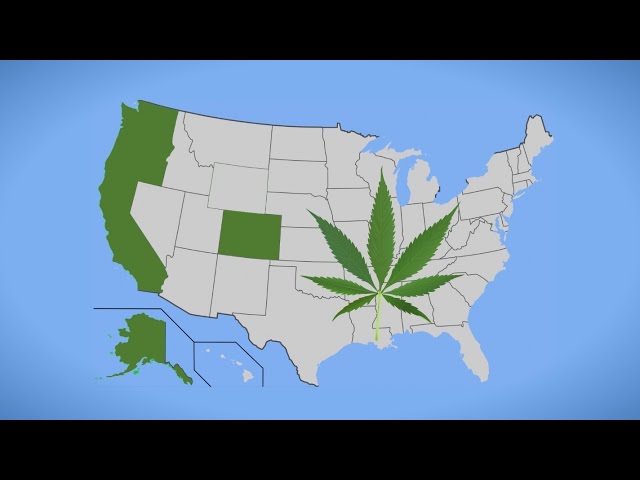 What Will Recreational Marijuana Legalization Mean for California? Q&A with Lynne Lyman
