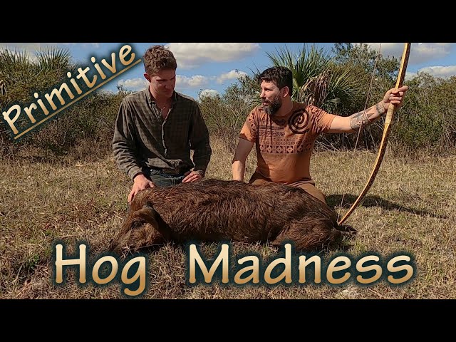 Primitive Bowhunting Hog Madness