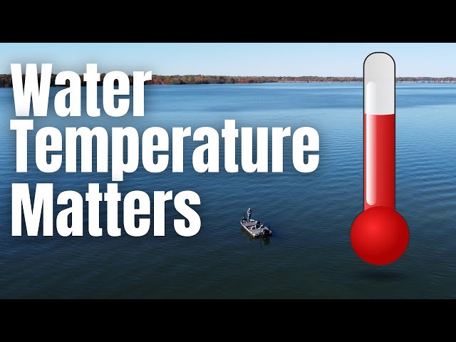 Water Temperature CHEAT SHEET For BASS FISHING // How Water Temp Can Help You FIND Bass