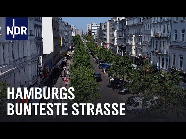 Boulevard der Gegensätze - Hamburgs Steindamm | die nordstory | NDR Doku