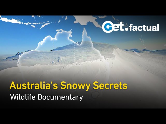 Australia’s Hidden Alps: Unexpected Wilderness | Full Wildlife Documentary