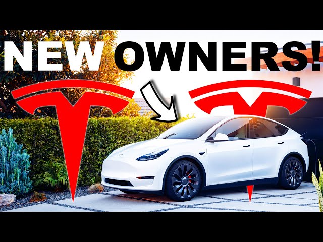 Tesla Setup Guide for 2023 Model 3 & Y (BEST SETTINGS)