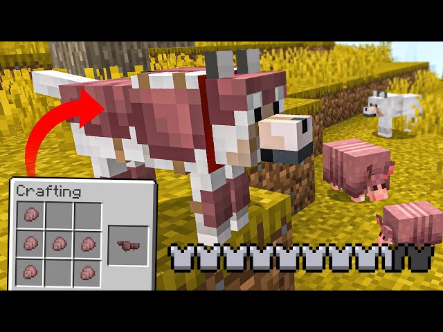 How to Get WOLF ARMOR in Minecraft! (Bedrock and Java)