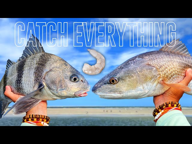 Easiest Way To Catch Fish! Big or Small! Jacksonville, FL Kayak Fishing (Music by Safemi Beatz)