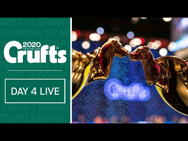 Day 4 Live | Crufts 2020