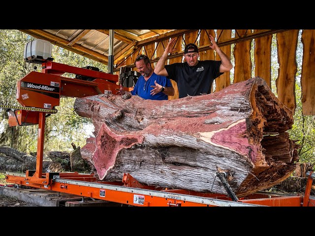 INSANE Cedar Log with Hidden Surprises - 15