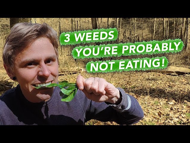 3 Weeds You're Probably Not Eating