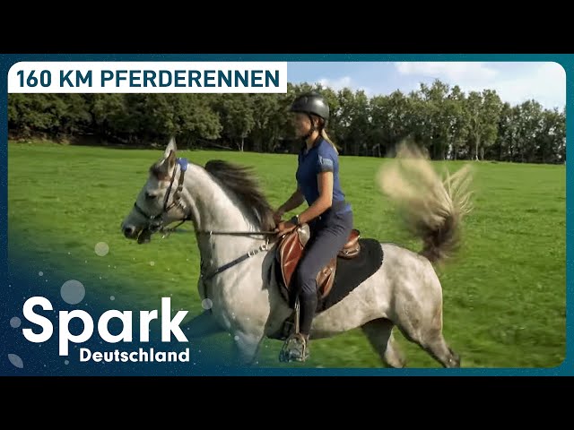 Abenteuer Pferderennen | Distanzreiten in Florac | Spark Deutschland