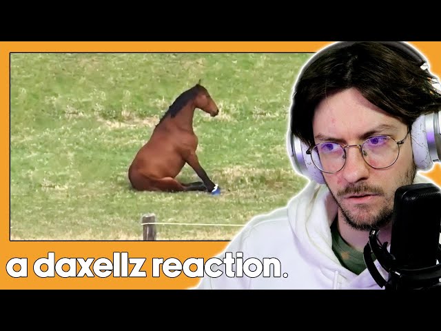 Daxellz Reacts to UNUSUAL MEMES V235