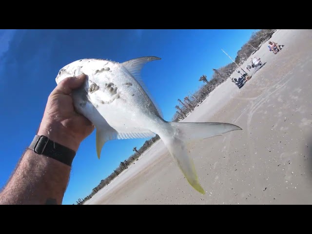 Pompano are here|Jacksonville Fl fun & catching!