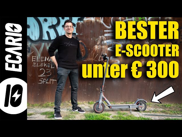 AOVO M365 Pro 👉 Bester E-Scooter unter 300 Euro?