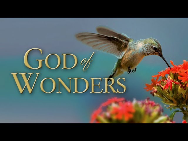 God of Wonders (2008) | Documentary | John Whitcomb | Dan Sheedy | Don B. DeYoung