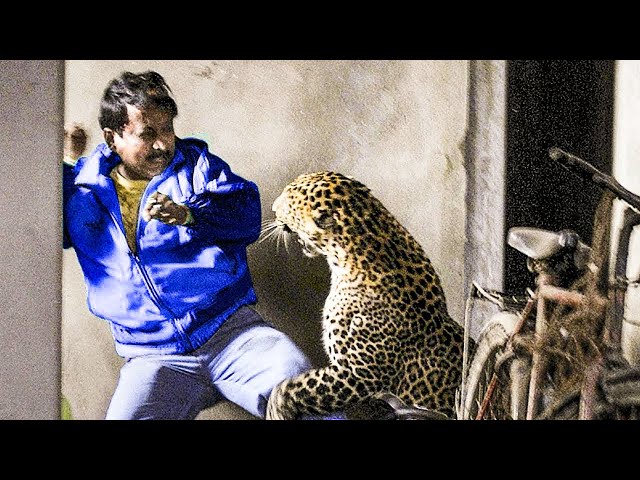 50 Incredible Moments Caught On Camera