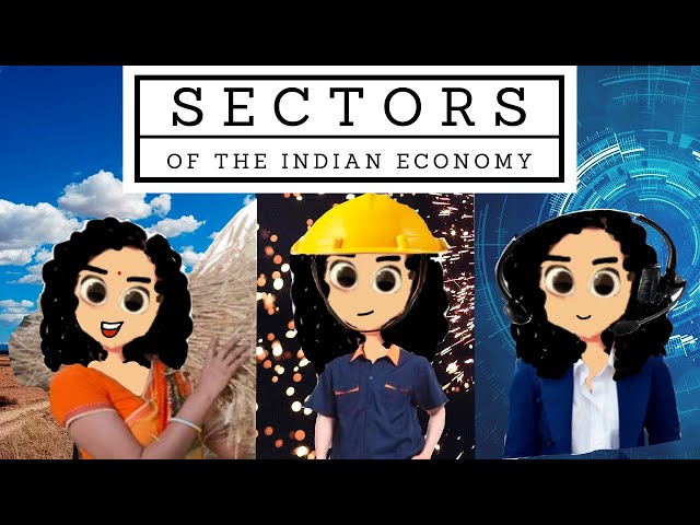 CHAPTER -2 | CLASS -10 | SECTORS OF THE INDIAN ECONOMY |