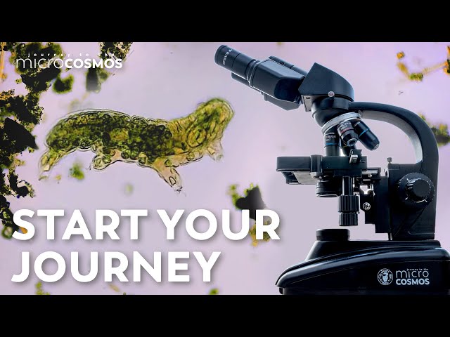 How To Kick Off Your Microscopic Journey