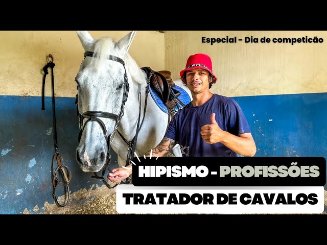 Profissão Hipismo - Tratador de Cavalos (2)