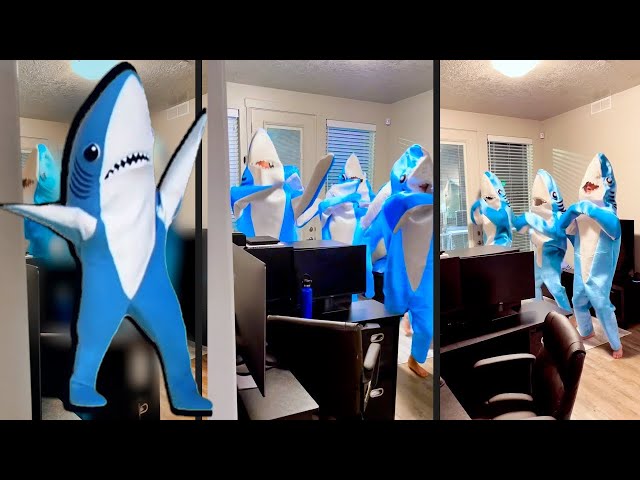 Every Dancing Shark Vid Ever! 🦈🕺 How the California Gurls Trend Started #LeftShark #Katy Perry