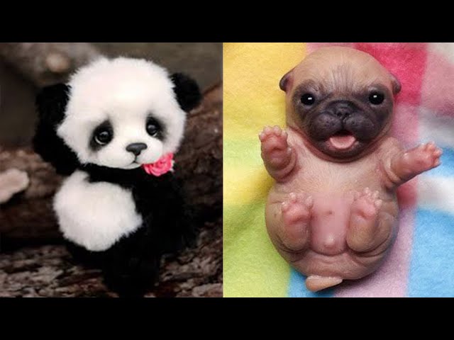 Cute baby animals Videos Compilation cute moment of the animals - Cutest Animals #44
