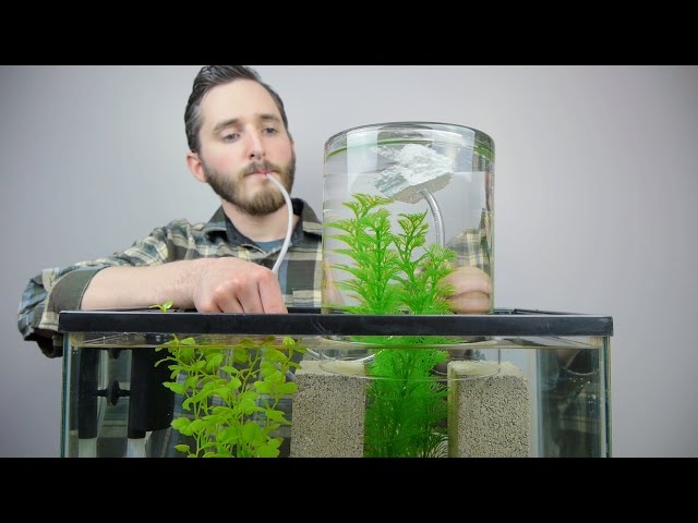 Make A Vacuum Suspended Fish Tank