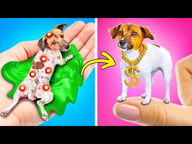 I Saved This Tiny Dog 🐶😥*How To Take Care Of Pets With Viral Gadgets*