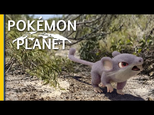 If Pokemon was a Nature Documentary