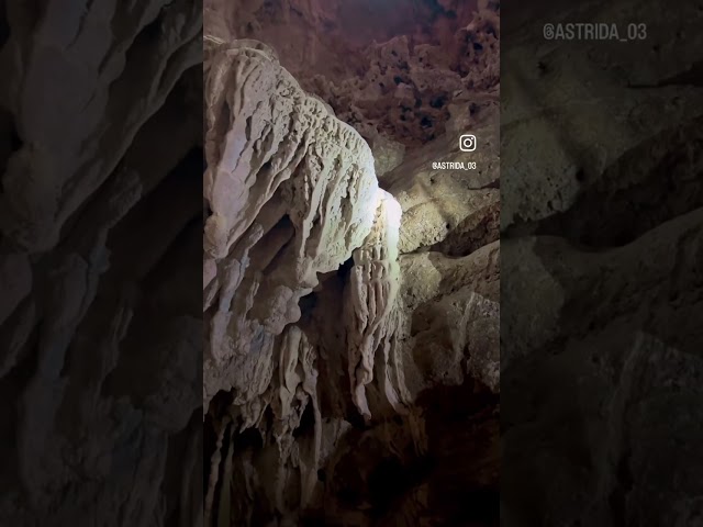 Limestone cave baratang island andaman | Travel video  | lifestyle shorts | #shorts